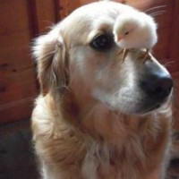 老外恶搞爆笑恶搞路人,接下来路人懵了!太有意