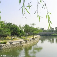 池子吐槽陶晶莹爱道歉:给周杰伦和范冰冰道歉