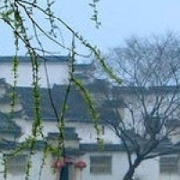 快本:魏晨海涛帅气唱跳《隔壁泰山》,不得不说