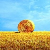 越南女老师穿传统服饰上课走红,网友:太美了,想