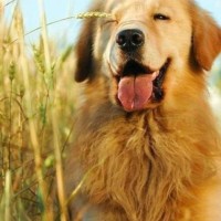 单纯姐姐被套路,皮筋拉长一下打到脚心上,看着