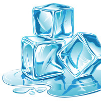 特种兵之火凤凰,黑猫派我来跟你一起完成任务