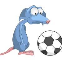 中国体育舞蹈少儿拉丁舞等级考试金星一级伦巴