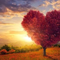 爆笑小品:宋小宝二丫怀孕了!