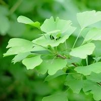 日本人和中国人的思维差距有什么区别