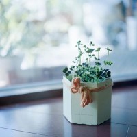 《下一站,别离》同事借酒起哄闹洞房,秋阳盛夏