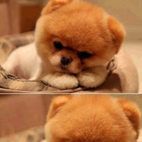 农民自制卷水管神器,既方便又省时,真是长见