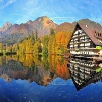 秦时明月天行九歌卫庄在意的女人唯有赤练姑娘