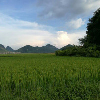 女神户外唱一首《不仅仅是喜欢》太好听了, 我