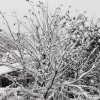 高晓松亲身接触世界上最神秘的组织--共济会