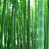 开车时,这三个小动作最容易导致追尾,你中招没