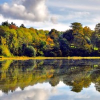 黄景行和何展成吐槽杨文昊,晋级很幸运,耿直b