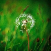 《抖音上过百万喜欢合集》拯救你的不开心