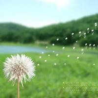 家有儿女初成长:阳阳忍不住吐槽江南,江南直接