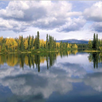 电影《保镖》主题曲惠特尼休斯顿经典演唱