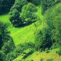 王者荣耀KPL春季赛RNG阿杰老夫子先手全场