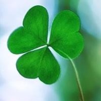 宠物小精灵皮卡丘甲贺忍蛙挺身而出面对一群超