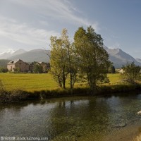 总裁大大当着媒体质问女主,女主突然晕倒