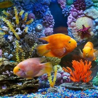 分手大师:杨幂胡同发小广告?真是什么人都有呀