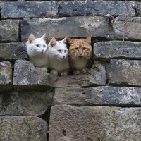 杨钰莹和毛宁合唱经典歌曲《心雨》!