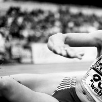 这两只是什么小狗 咬野猪这么凶悍 捕猎不逊杜