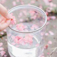 天啊!郑源这首歌2018爆火!满大街都在播放,太