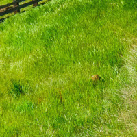 张云雷大褂穿出旗袍的感觉,二爷这锣敲的真的