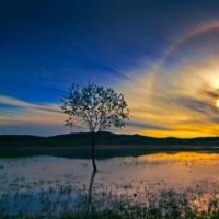 许华升请兄弟吃好吃的,没想到却被老板赶出来