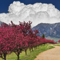 求助大神这是什么歌?我在东北玩泥巴,你却在削