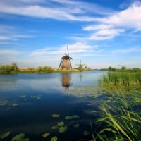 搞笑动画:鲨鱼哥美人鱼的日常的运动,鬣狗捣乱