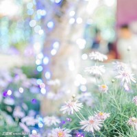 王者荣耀:单排盘盘输,段位上不去,为什么不给自