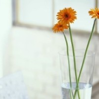 郭阳郭亮爆笑小品,这俩活宝一本正经的闲扯瞎