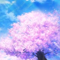 2018LPL春季赛决赛RNG英文解说中文字幕UZ