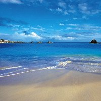 《骷髅之舞》名字很恐怖,音乐却超级好听而伤