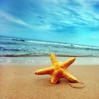 王源谈小时候家里穷,500块钱买了个智能手机,