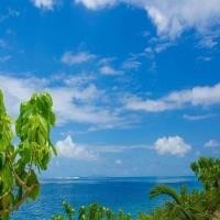 动画片欣赏 猪猪侠:迷糊老师说大傻怪如果跑步