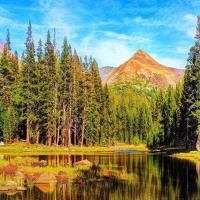 动画片 想不到你是这样的小葵,小葵被电视中的