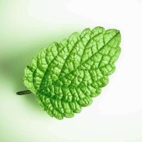 2019英雄联盟无限火力那些逮虾户