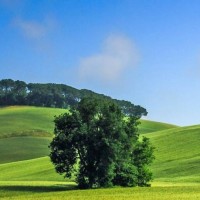 我的体育老师:王小米把自己妈妈的电话屏蔽了