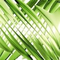 扶摇皇后 特辑 大幂幂果然霸气十足太惊艳了