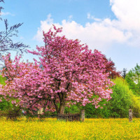 谈判官:谢晓飞和童薇在车里亲热被上级看见!