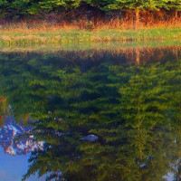 这就是我玩绝地求生为什么头晕的原因!