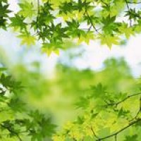 爆笑二人转脱口秀,让你知道什么是西餐!