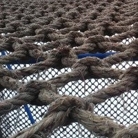 搞笑至极!大潘佳佳张小斐小品镖师欢乐喜剧人