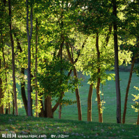 岳云鹏与柳岩分手片段,那种撕心的痛,有多少人
