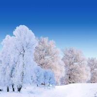 《凤囚凰》主题曲柔情上线,画面唯美,赞