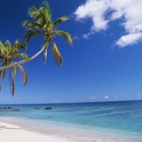 超火的广场舞16步,歌曲《渴死的鱼 DJ》