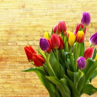 手机 全面屏手机对比:360N6 Pro PK、荣耀畅玩