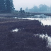 萌妹子表演歌曲《风筝误》声线迷人,让人怦然