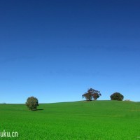 唐伯虎点秋香粤语 小李飞刀排名第四,甘排名第